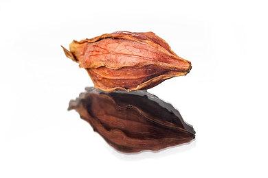 Xbox正在处理向下兼容功能无法正常识别光盘的问题